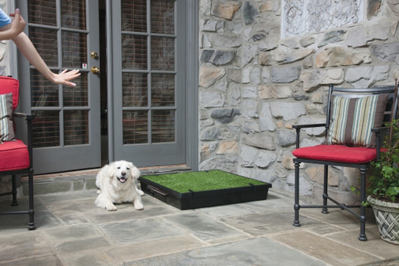 PetSafe Pet Loo Portable Dog Toilet Tray (Large 84cm x 84cm)